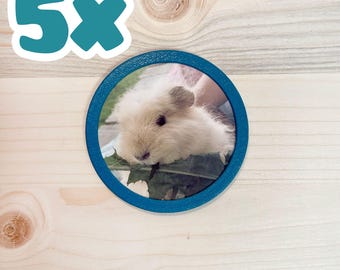 Set of 5 photo Klettie for ergobag school bags - choose 2 from over 60 colors