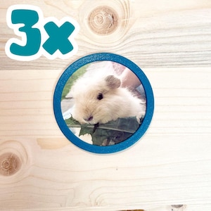 Könnte beinhalten: Ein runder Untersetzer mit blauem Rand, der ein Meerschweinchen-Bild zeigt. Der Text "3x" befindet sich in der oberen linken Ecke. Der Untersetzer liegt auf einer hellen Holzoberfläche.
