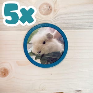 5er-Set 3D-Foto Klettie für Schulranzen z.B. ergobag in über 50 Farben