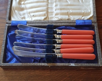 Juego de 6 cuchillos de mantequilla EPNS vintage – Mangos rosas – Baño de plata – Cubiertos en caja – Mediados de siglo