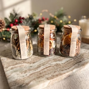 Holiday Simmer Potpourri Set of 3 | Christmas Scented Stove Simmer Pot | Holiday, Spice Woodlands & Frosted Mint Pine | 7oz Glass Jars