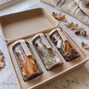Holiday Simmer Pot Set of 3 | Spice Woodlands & Frosted Mint Pine | Stovetop Potpourri Kit | Christmas Home Fragrance Gift Set