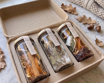 Holiday Simmer Pot Set | Spice Woodlands, Frosted Mint Pine, Christmas Fragrance (3 Blends)