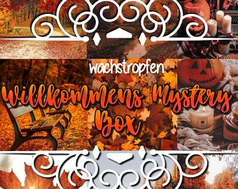 Bookish box - Die besten Bookish box analysiert!