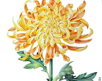 Chrysantheme Malerei, Original Blumen Aquarell Kunst, 8x11