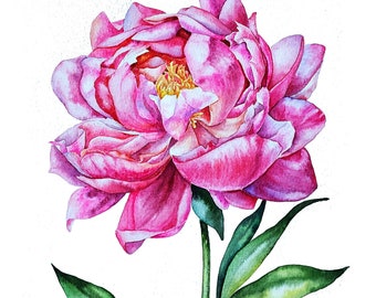 牡丹の水彩画 シルバーフレーム付き ピンクの牡丹の水彩画、花の壁アート、牡丹のつぼみの壁アート