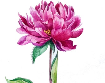 Peony painting, original watercolor painting, single flower art, botanical artwork, birth flower gift, peony wall art, watercolor peony art