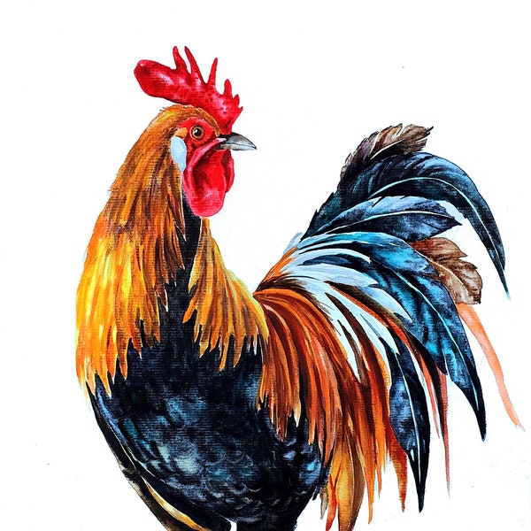 Aquarelle ORIGINALE, peinture de coq, aquarelle d'oiseau, art de coq de ferme, art de mur d'oiseau de ferme, oeuvre d'art de poulet, cadeau d'amant d'oiseau