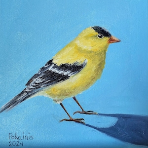 Bird original small oil painting, robin bird painting, yellow bird wall art, bird watcher gift, tiny oil painting, bird lover gift, artwork