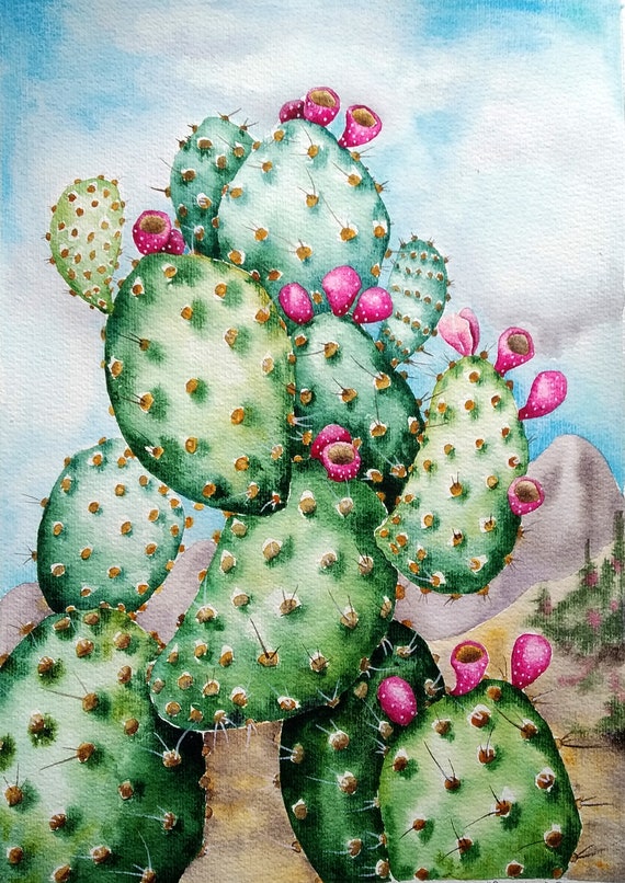 Prickly pear cactus  Arte com cactos, Fotos de cactos, Pintura de