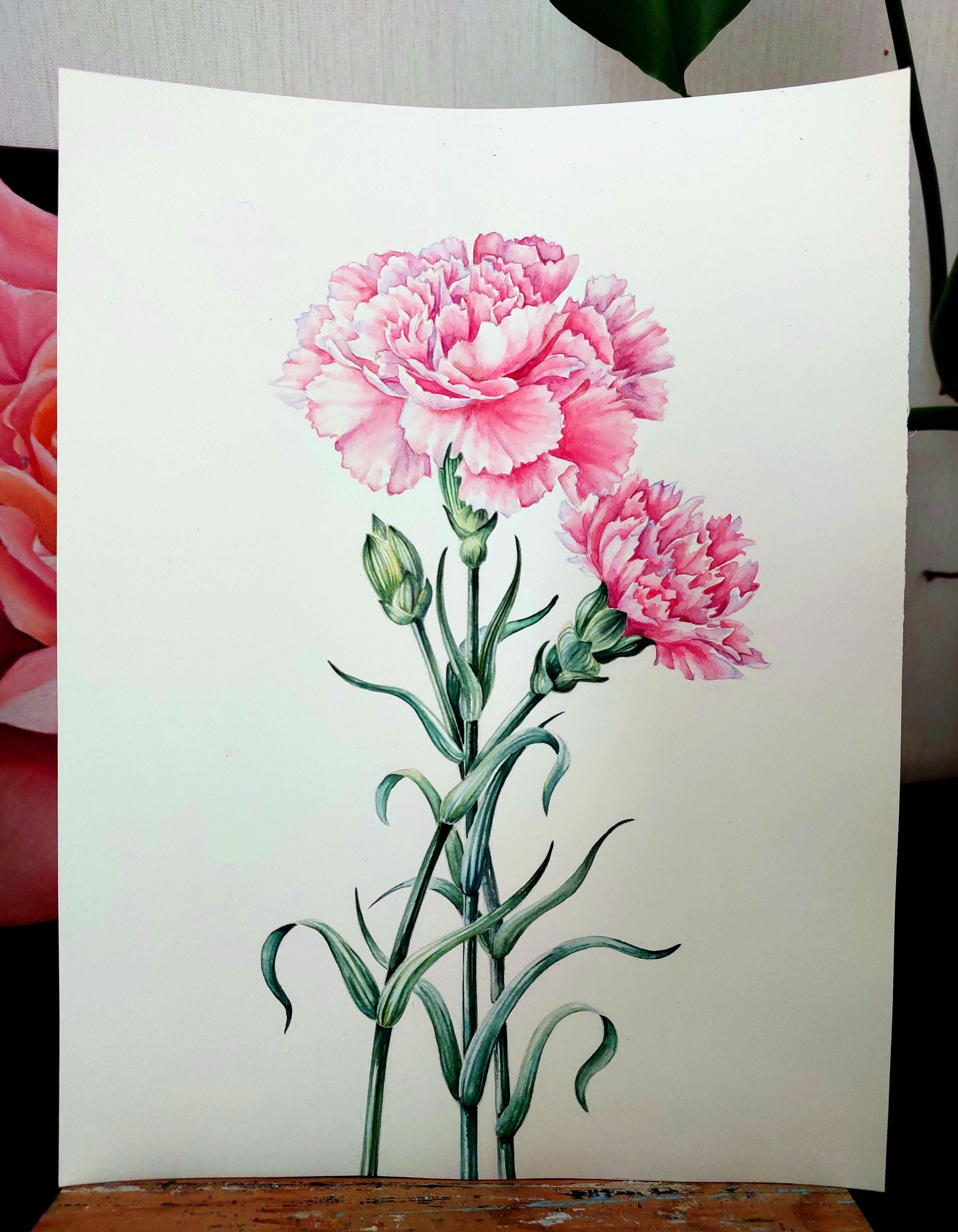 オリジナル水彩画、カーネーションの絵画、花の静物画の壁アート