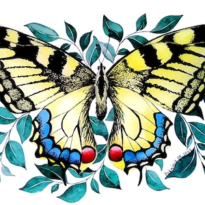 Dipinto originale ad acquerello di farfalla, ornamento di farfalla monarca, arte murale botanica, dipinto di insetti, natura morta floreale, belle arti da giardino