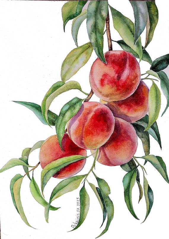桃の水彩画、フルーツの静物画、フルーツの絵画、植物の壁画