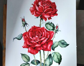 赤いバラのオリジナル水彩画、バラの壁アート、花の静物画、夏の花の