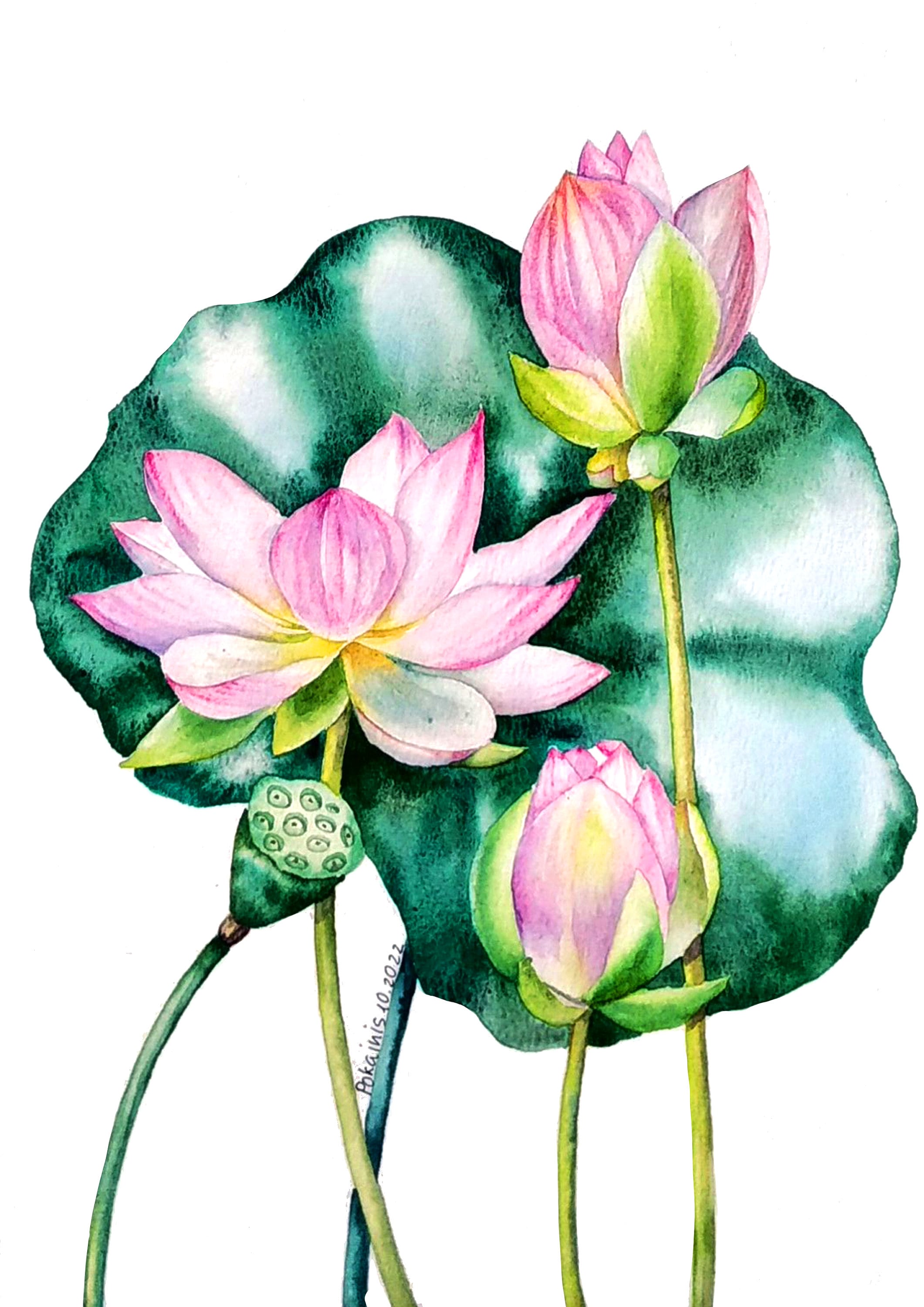 Lotus Painting - Etsy Lotus Painting - Etsy