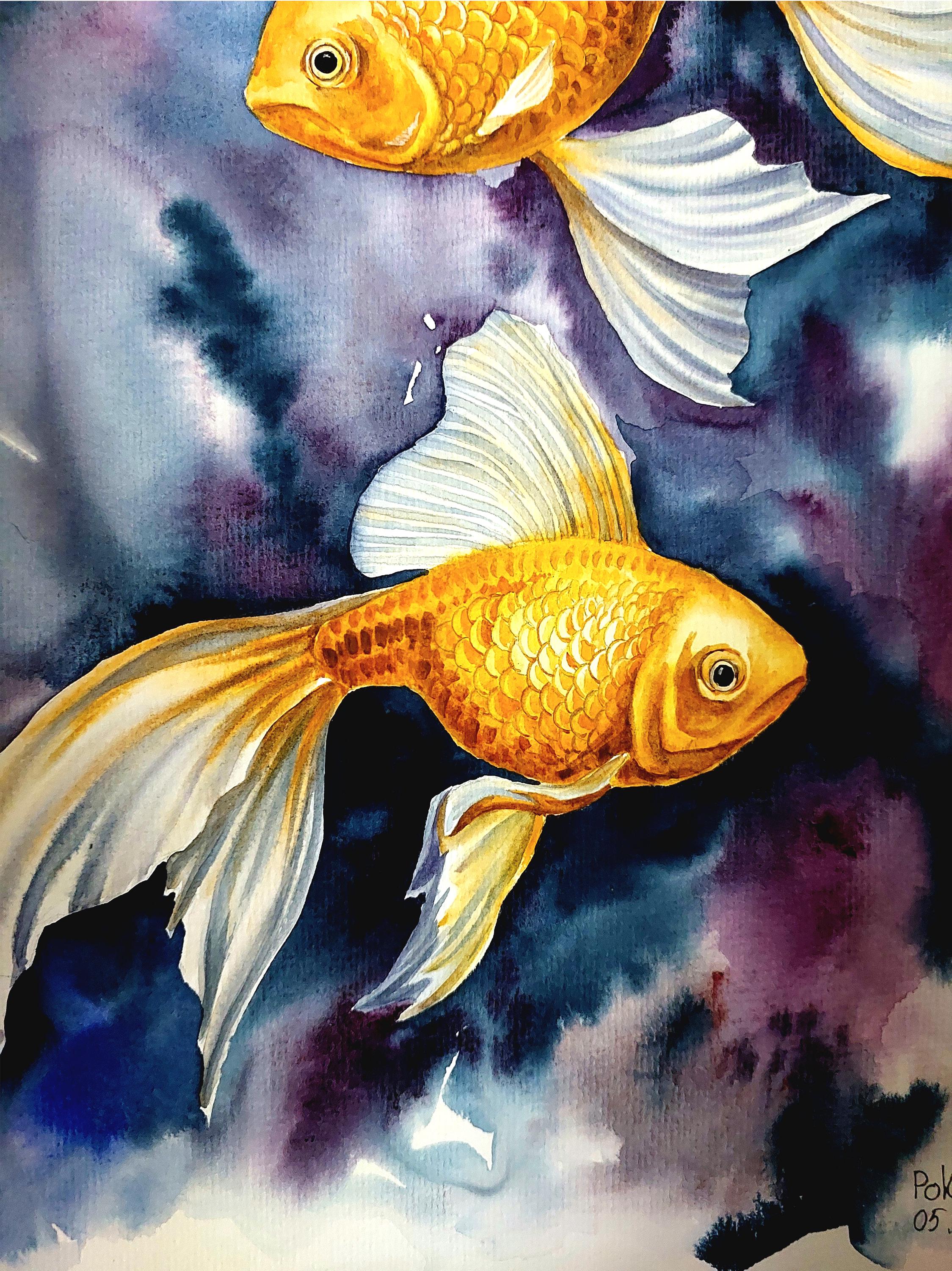 魚の水彩画 金色フレーム 魚の水彩画 金色フレーム 魚の水彩画 金色フレーム 魚の水彩画 金色