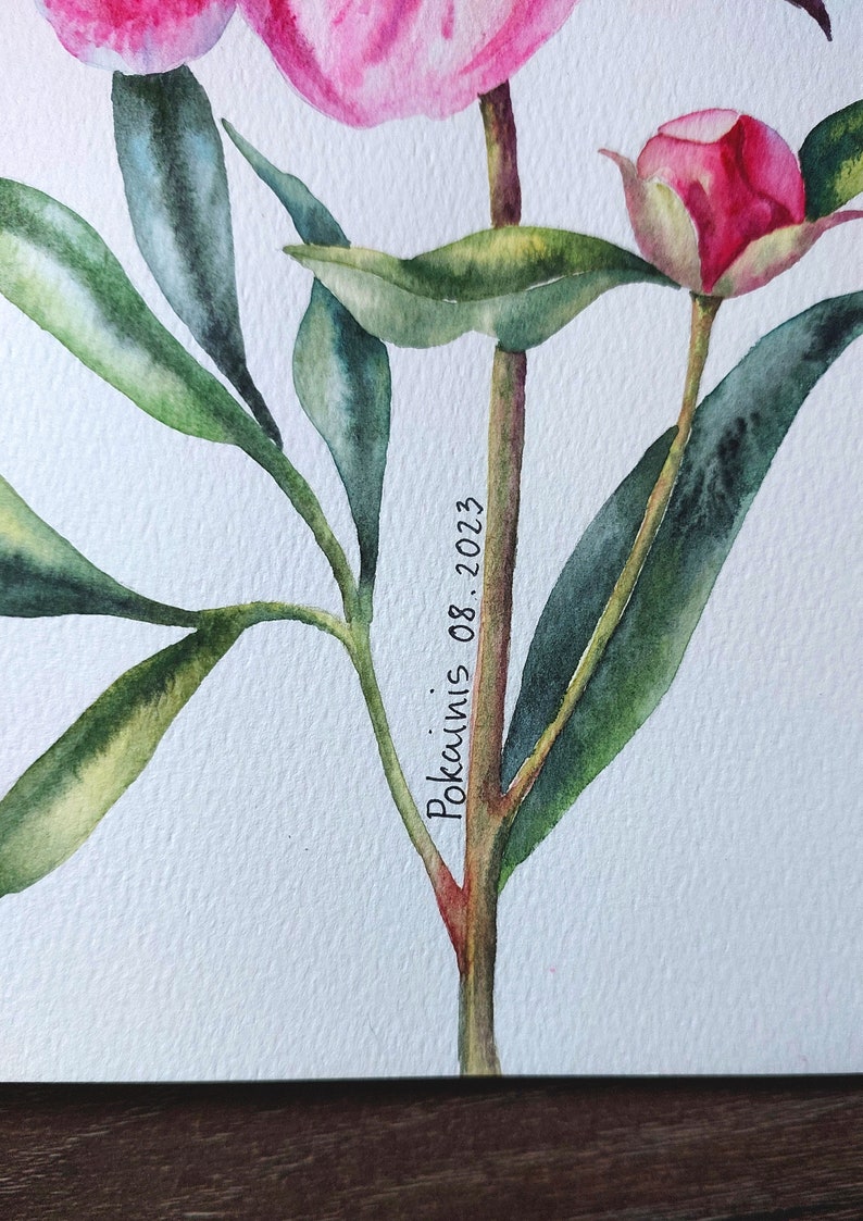 K&ouml;nnte beinhalten: Aquarellmalerei von rosa Pfingstrosen mit gr&uuml;nen Bl&auml;ttern und Stielen. Das Gem&auml;lde ist signiert mit "Pokainis 08.2023".