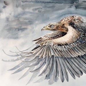 Dipinto originale ad acquerello di uccello in volo, opera d'arte di aquila americana, arte murale di falco, falco dalla coda rossa, regalo per osservatori di uccelli, belle arti di uccelli invernali