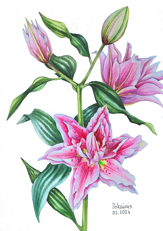 ユリのオリジナル水彩画、花の静物画、花の壁画、ピンクの花の絵画