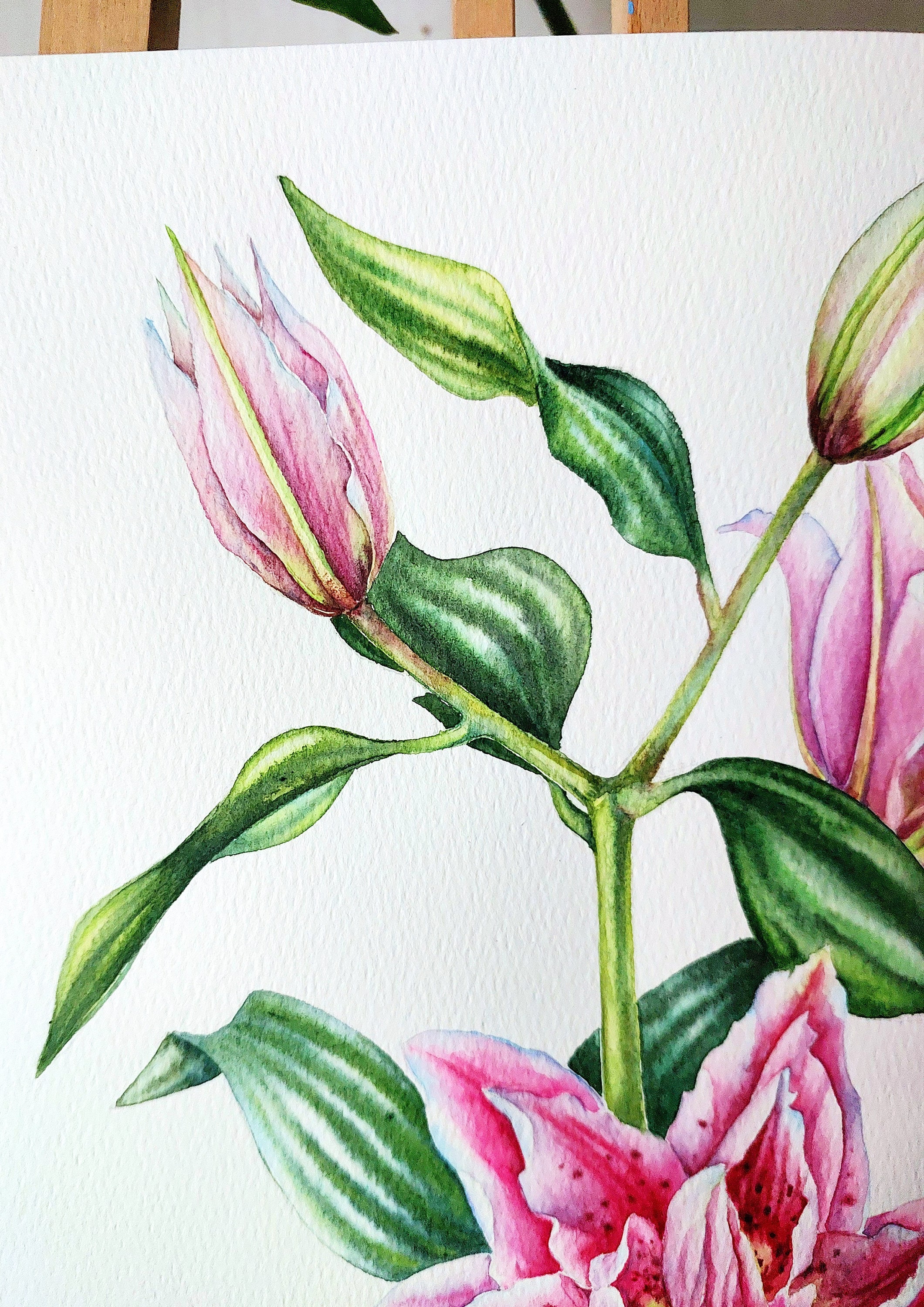 ユリの花 日本画 扇形 IMG_3419-1200x630.jpg