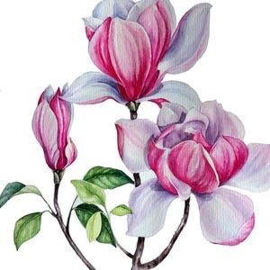 Pintura de magnólia, aquarela de magnólia, presente de flor de nascimento, arte floral de parede de magnólia, pintura em aquarela original, arte botânica