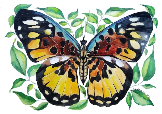 Aquarel Monarchvlinder
