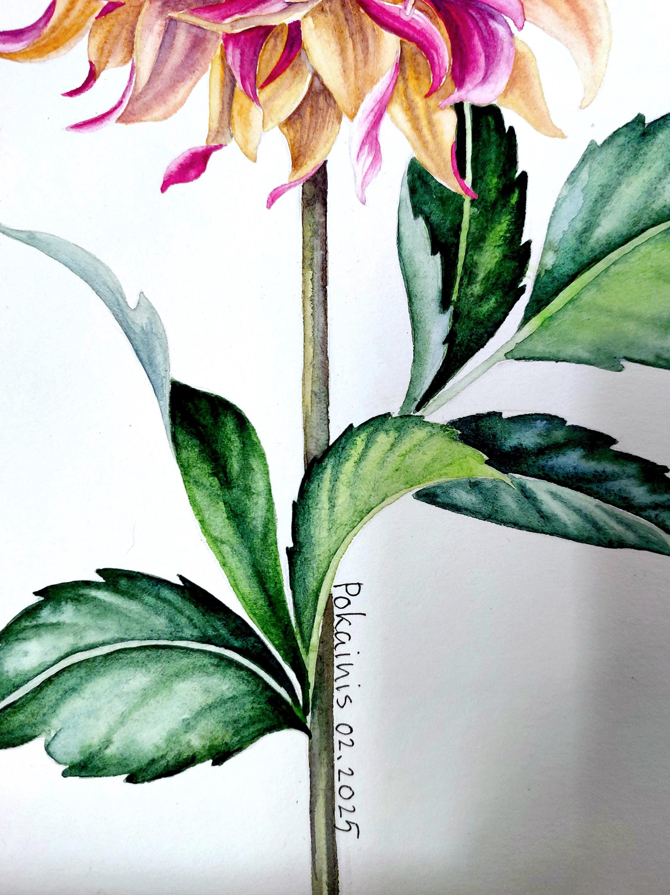 オリジナルのダリア水彩画、植物画の壁掛けアート - Etsy 日本