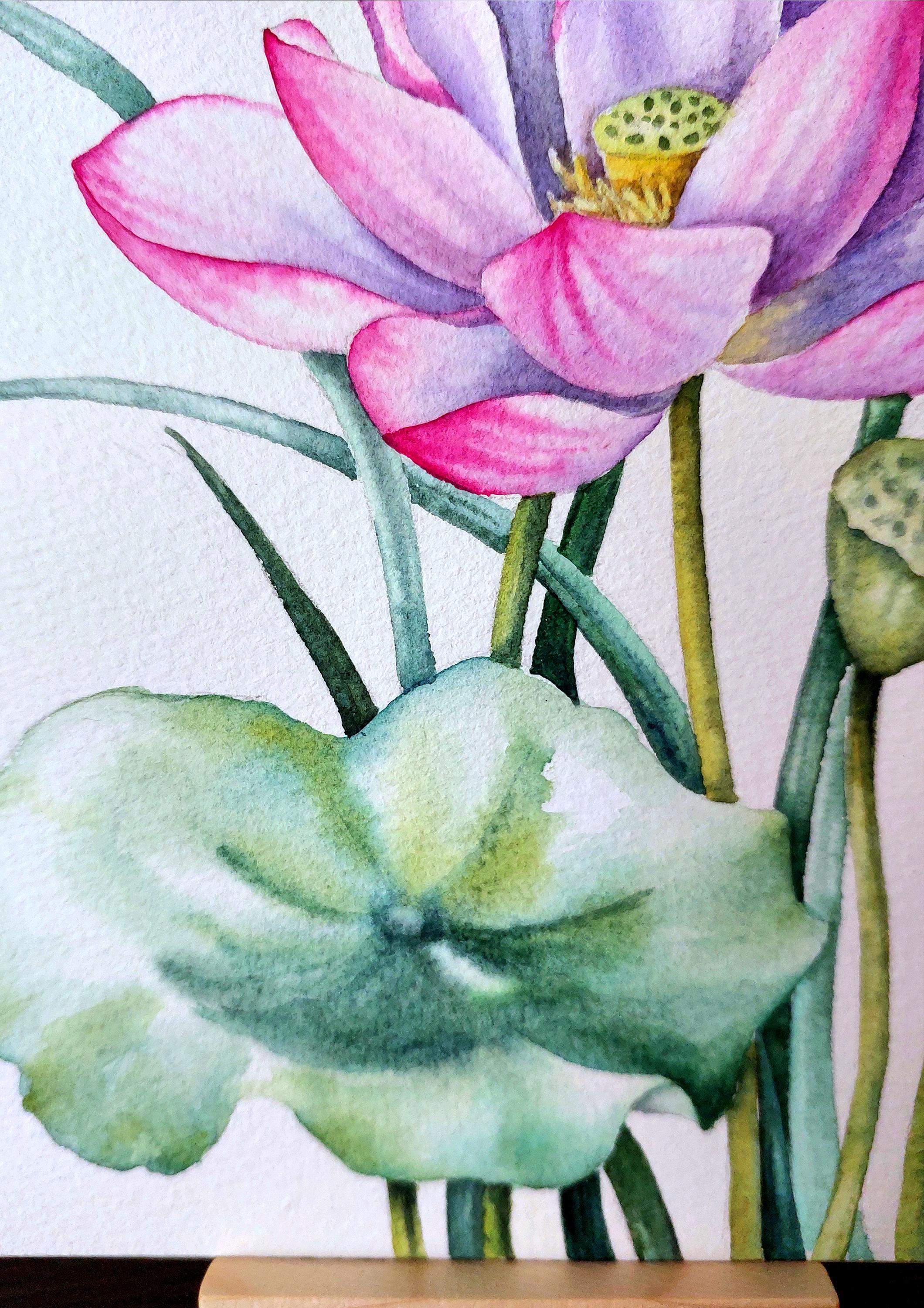 オリジナルのピンクの蓮の水彩画、植物の壁アート - Etsy 日本