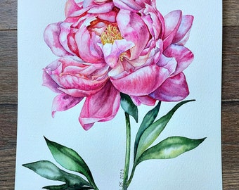 ピンクの牡丹の水彩画、花の壁アート、牡丹のつぼみの壁アート
