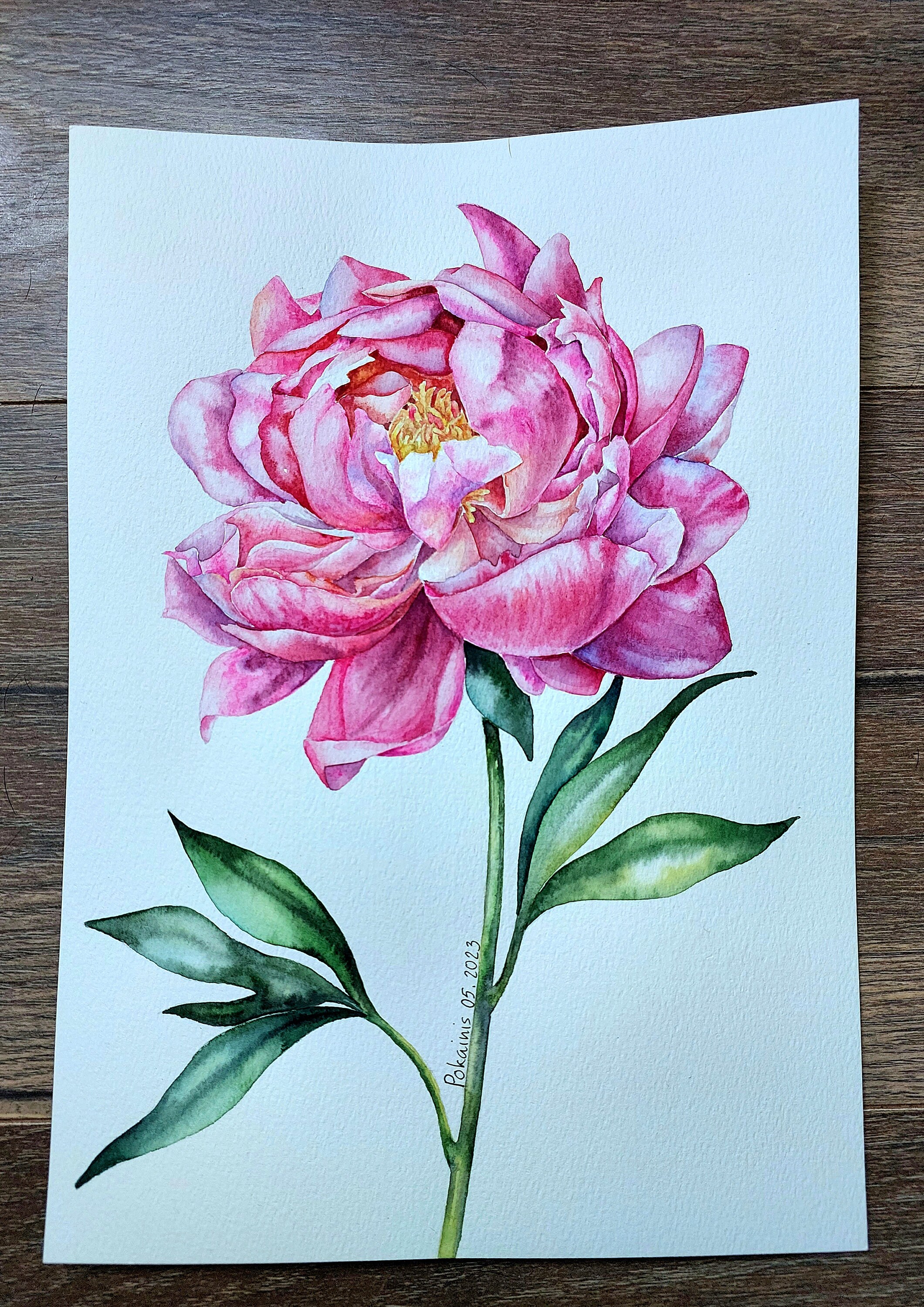 絵画 水彩画　牡丹(原画) ピンクの牡丹の水彩画、花の壁アート、牡丹のつぼみの壁アート