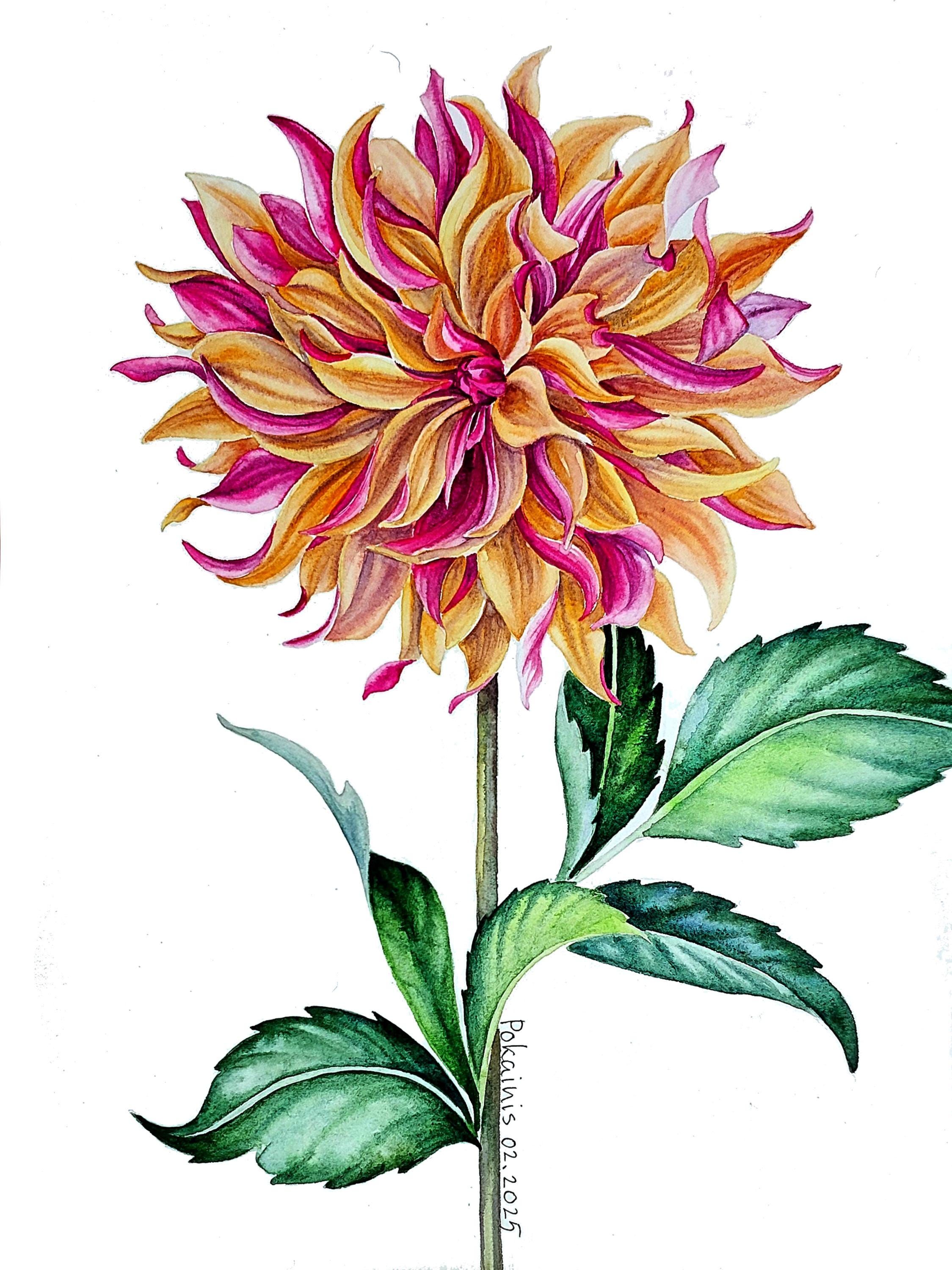 オリジナル水彩画、花の絵画、花の壁アート、ダリアの絵画、一輪の花の