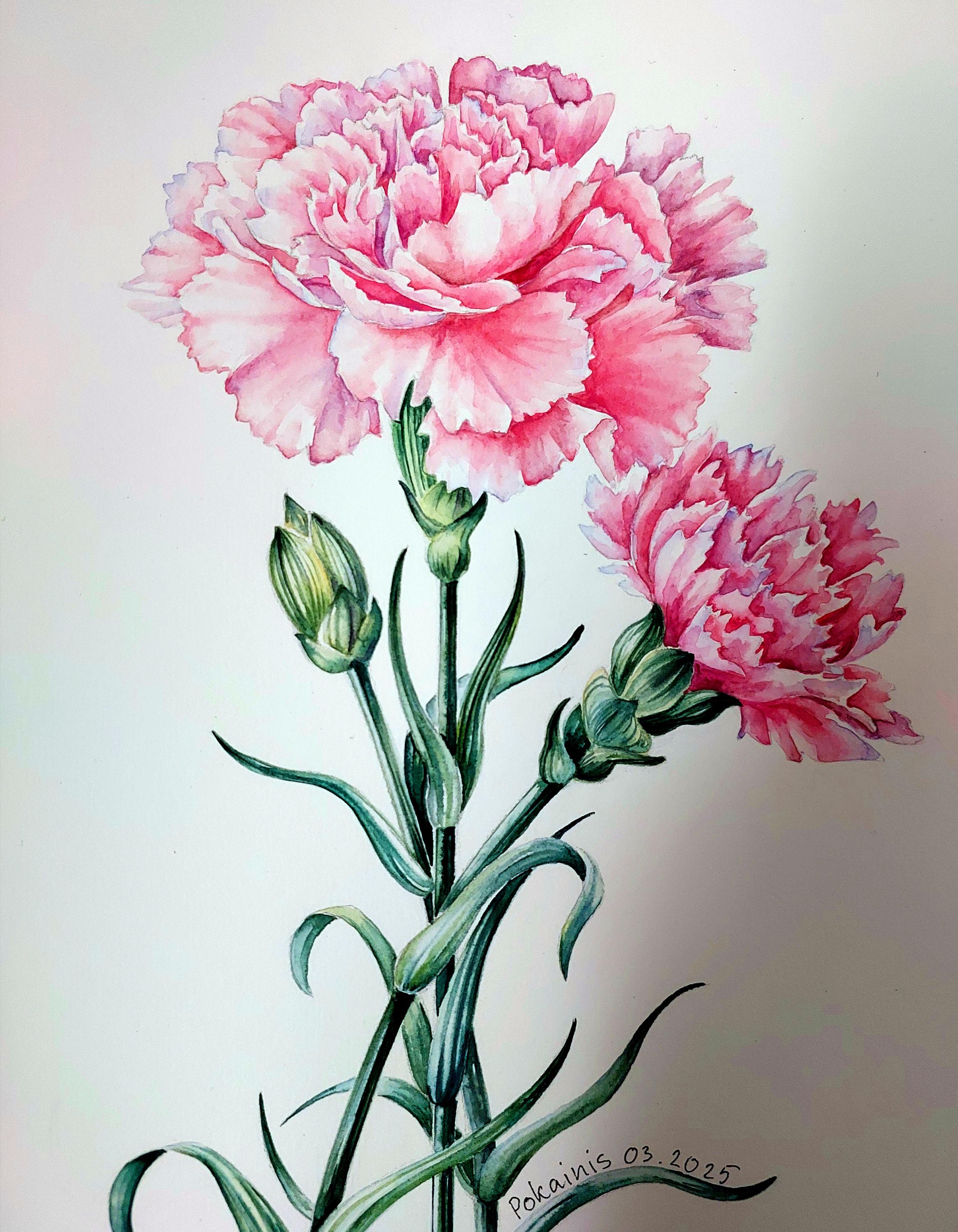 オリジナル絵画「カーネーションのある静物」 花と果物のある静物 | コルネリス・ファン・スペンドンク | 収蔵