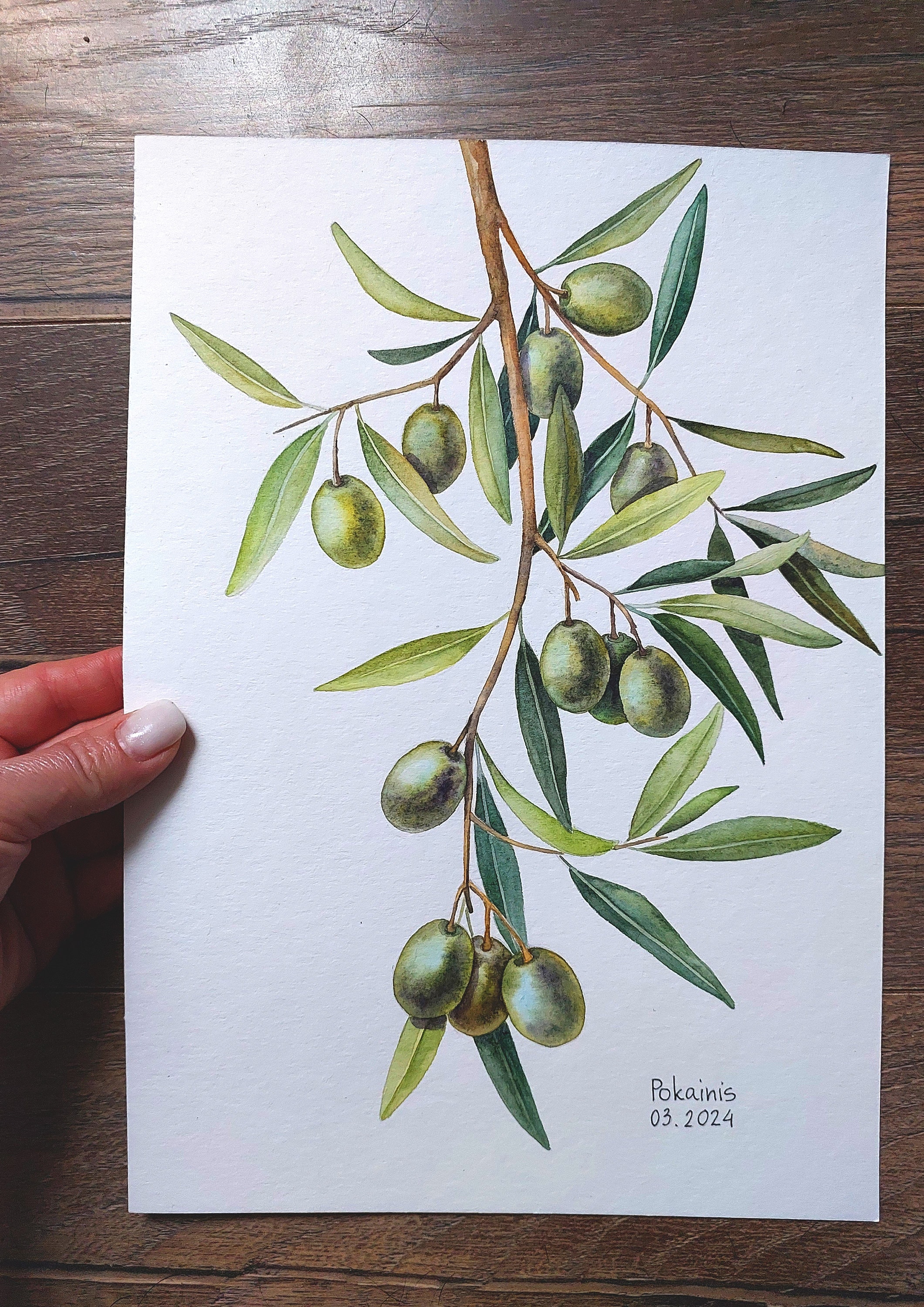 植物画　額入り ハーブ オリーブ イタリア 水彩画 オリーブの実 オリーブの枝のオリジナル水彩画、食べ物のイラスト、ギリシャの植物の