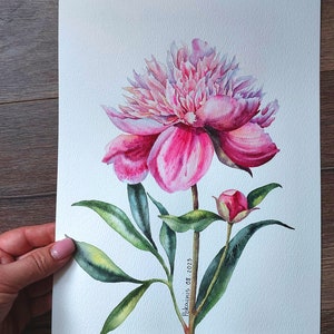 K&ouml;nnte beinhalten: Aquarellmalerei einer rosa Pfingstrose mit gr&uuml;nen Bl&auml;ttern und einer Knospe. Das Bild ist signiert mit "Pokainis 08.2023".