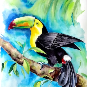 Toucan original watercolor painting, bird of paradise, watercolor birds artwork, bird watcher gifts, bird lover gift, tropical wall art