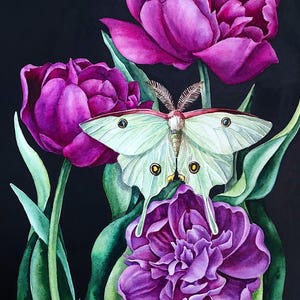 Dunkle Blumen Aquarell Malerei, Tulpe und Schmetterling Original Kunstwerk, gotische Blumen Malerei, botanische Wandkunst, Blumen Stillleben Kunst
