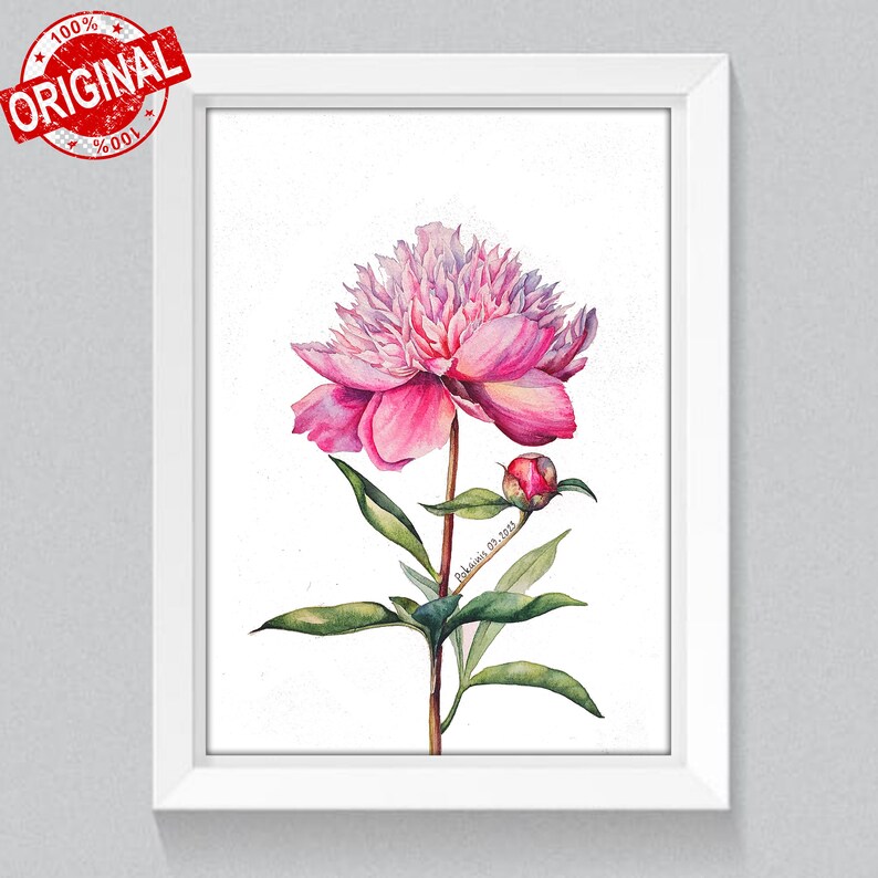 K&ouml;nnte beinhalten: Ein Aquarellbild einer rosa Pfingstrose mit einer Knospe. Die Blume ist in voller Bl&uuml;te und hat ein zartes, geschichtetes Aussehen. Das Bild ist unten rechts mit "Pokainos 08.2023" signiert.