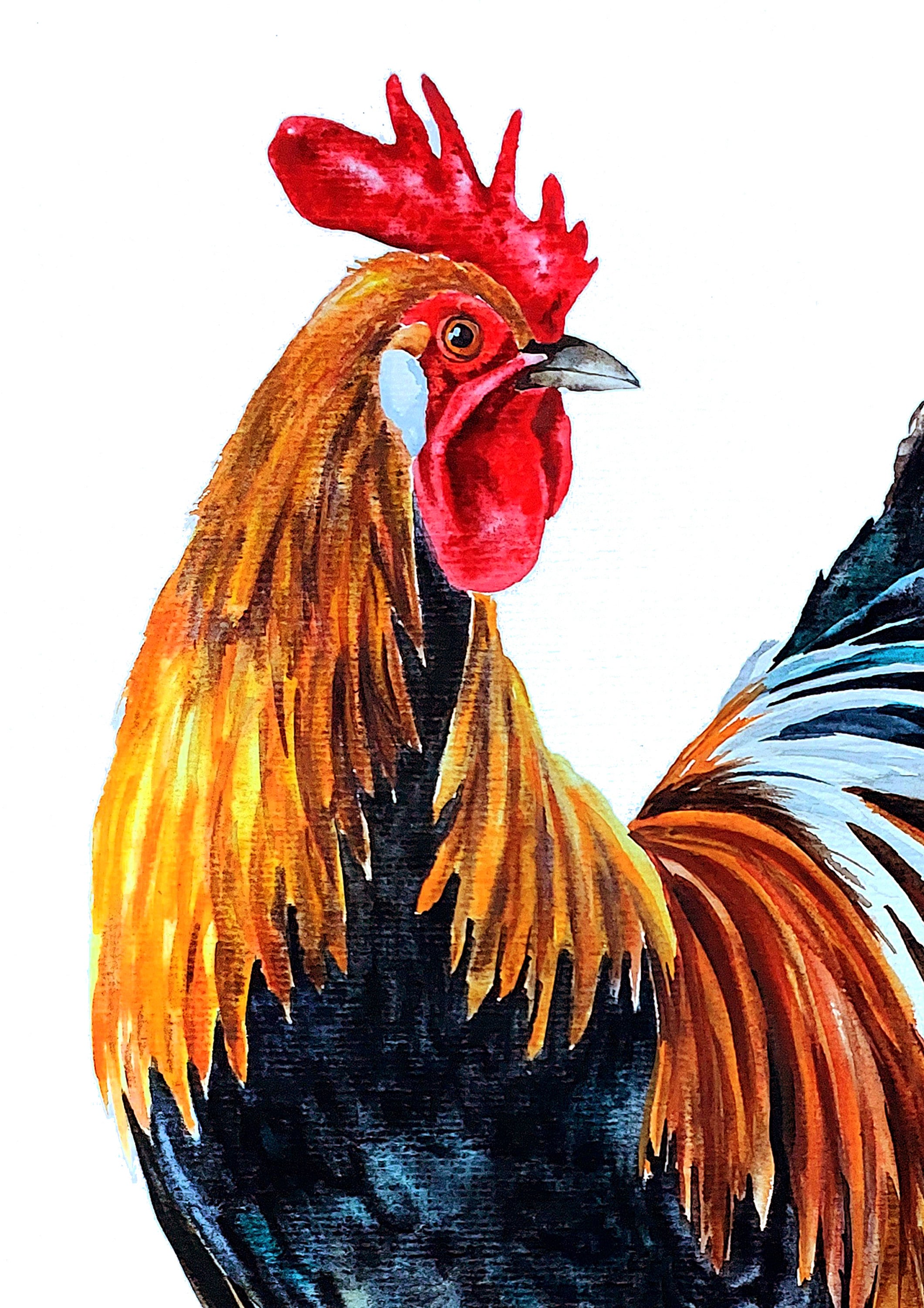オリジナルの水彩画、雄鶏の絵、鳥の水彩画、農家の雄鶏のアート、農場