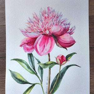 K&ouml;nnte beinhalten: Ein Aquarellbild einer rosa Pfingstrose mit gr&uuml;nen Bl&auml;ttern und einer Knospe. Das Bild ist signiert mit "Pokauwis 08.2023".