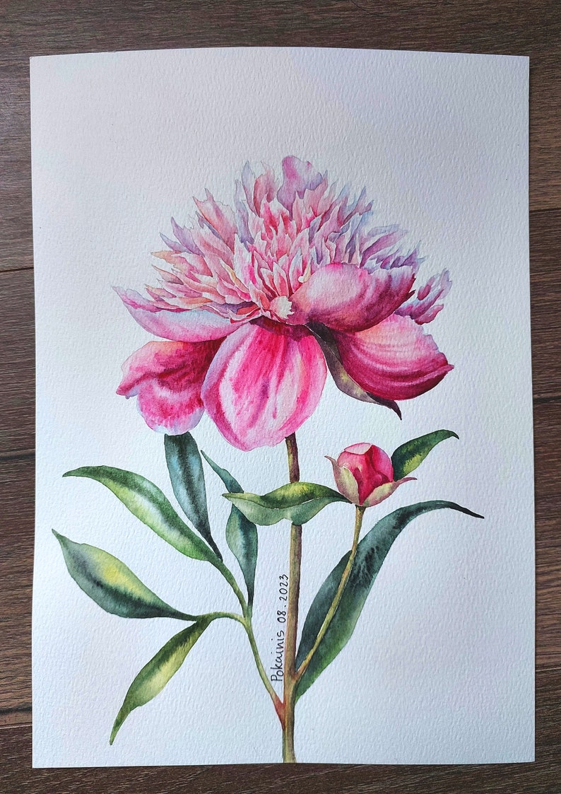 K&ouml;nnte beinhalten: Ein Aquarellbild einer rosa Pfingstrose mit gr&uuml;nen Bl&auml;ttern und einer Knospe. Das Bild ist signiert mit "Pokauwis 08.2023".