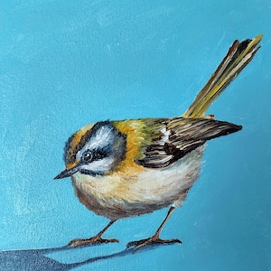 Bird original small oil painting, orange robin bird wall art, bird watcher gift, small fluffy round bird fine art, bird lover gift, artwork
