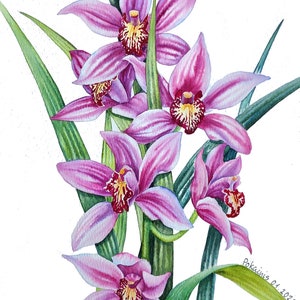 ORIGINAL watercolor painting, orchid blossom artwork, tropical flower wall art, pink flower painting, A4 watercolor art, tropical wall art