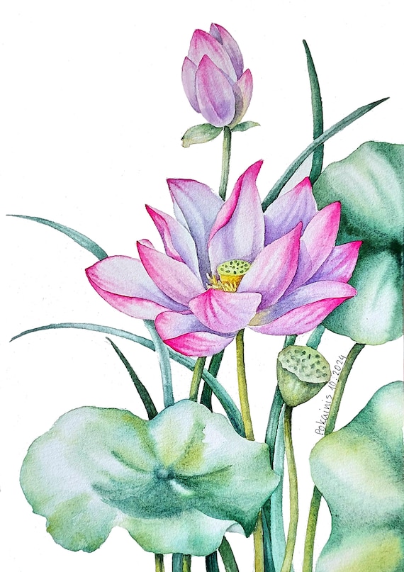 オリジナルのピンクの蓮の水彩画、植物の壁アート - Etsy 日本