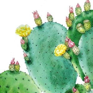 Dipinto ad acquerello originale, opera d'arte botanica, fico d'india, cactus in fiore, arte murale di cactus, opera d'arte originale ad acquerello dell'Arizona