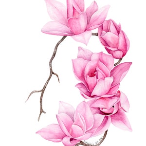 ORIGINAL watercolor painting, watercolor magnolia, botanical drawing, magnolia blooms artwork, spring flowers fine art, floral still life