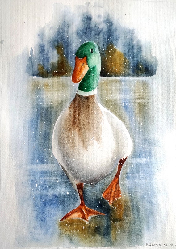 Duck Painting, Original Watercolor Painting, Bird Wall Art, Duck  Watercolor, Bird Painting, Bird Watcher Gift, Winter Bird, Duck Wall Art -  Etsy