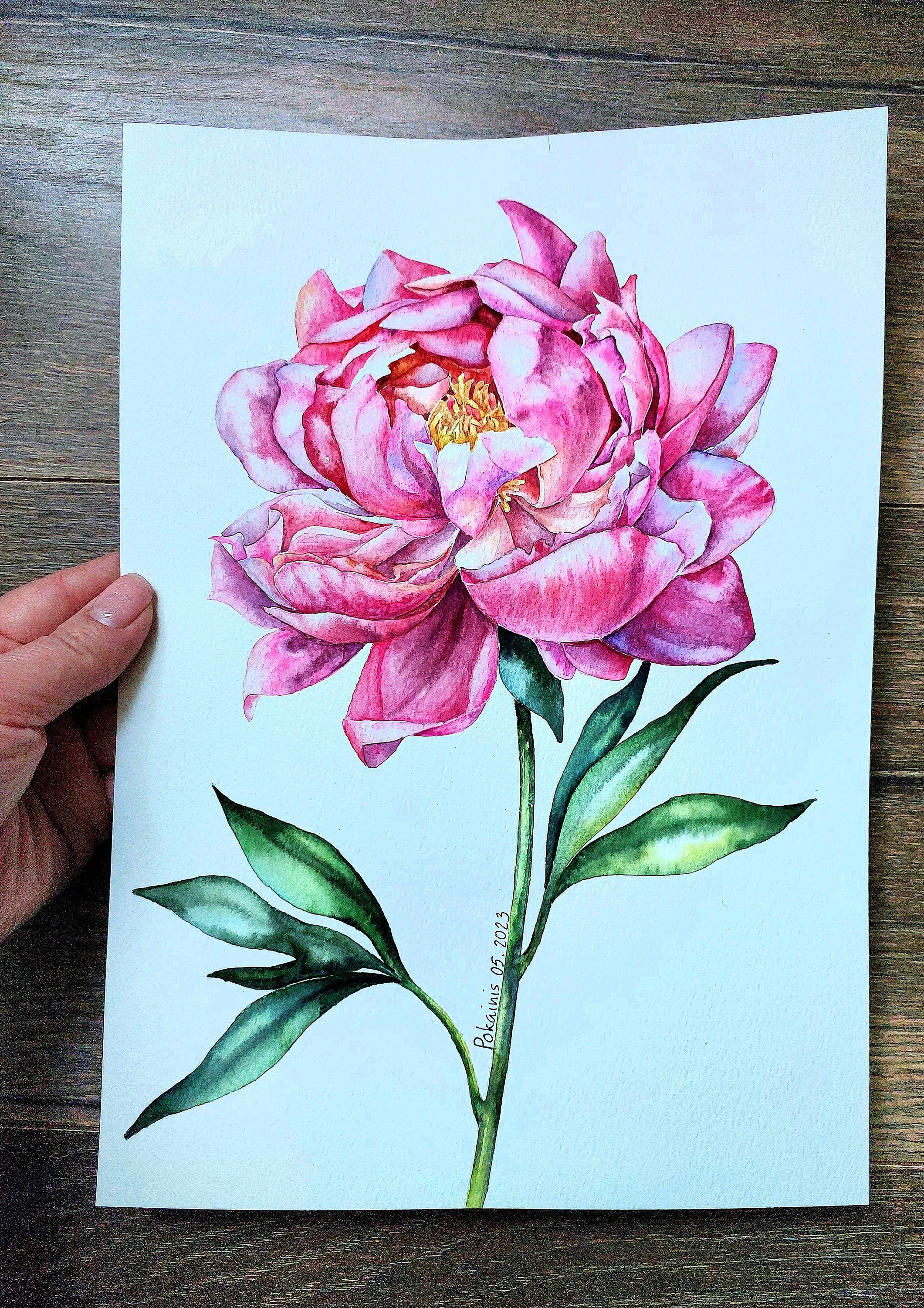 ピンクの牡丹の水彩画、花の壁アート、牡丹のつぼみの壁アート