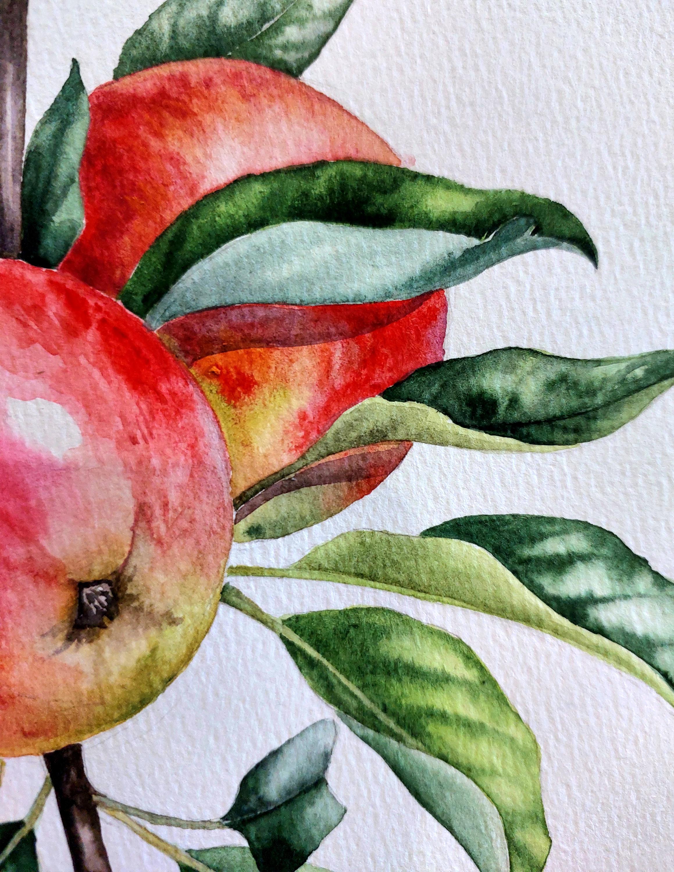 オリジナルの水彩画、リンゴの壁アート、赤いリンゴの絵画、フルーツの