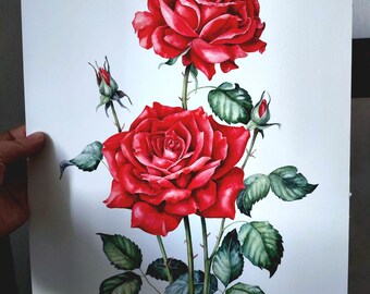 赤いバラのオリジナル水彩画、バラの壁掛けアート、花の静物画、夏の花