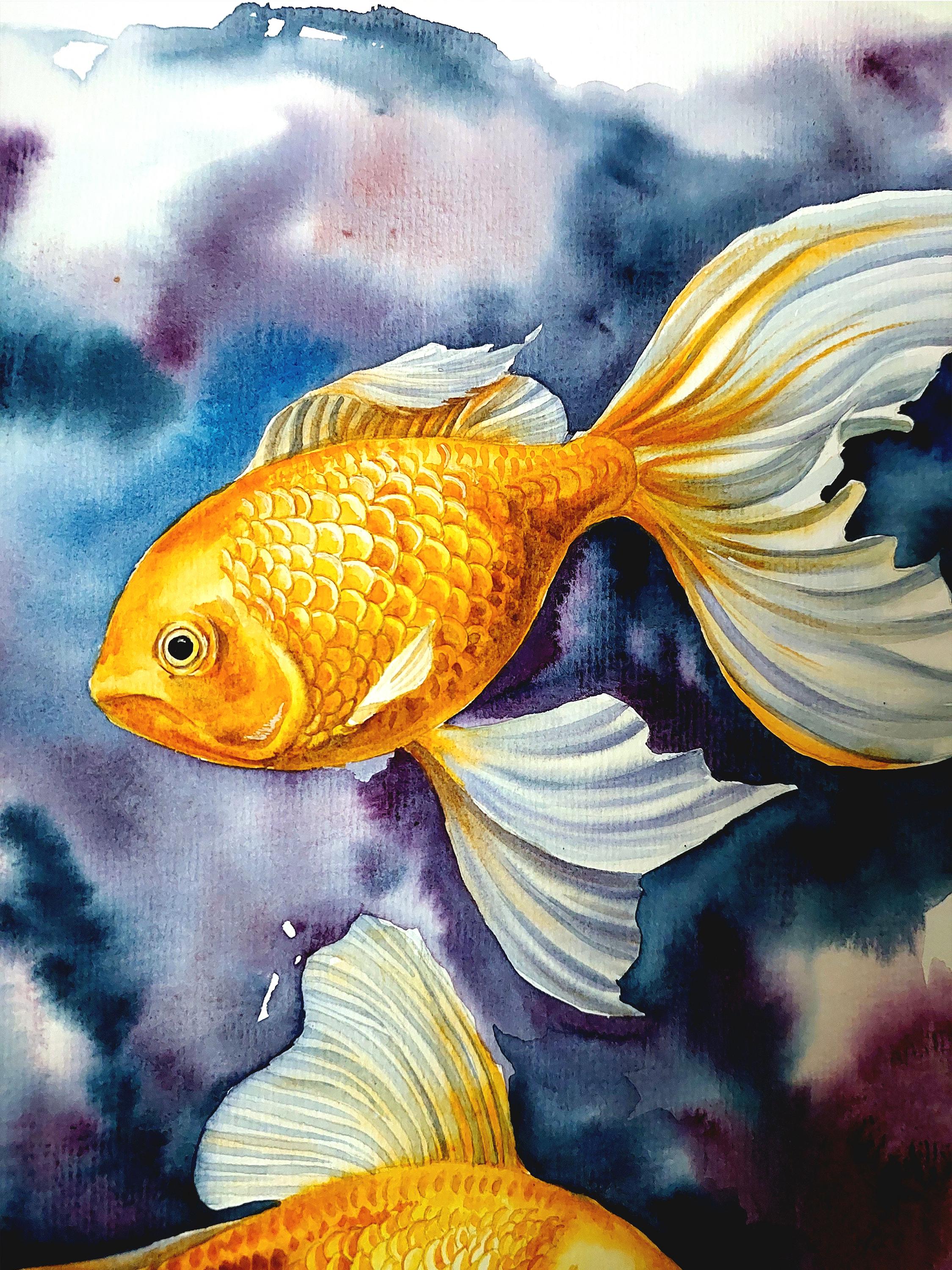 【絵画】ネイチャーアート　「金魚」原画 金魚 メタリック 水彩原画 イラスト ギフト 絵画 Annie